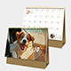 2025 My Pets.My Family